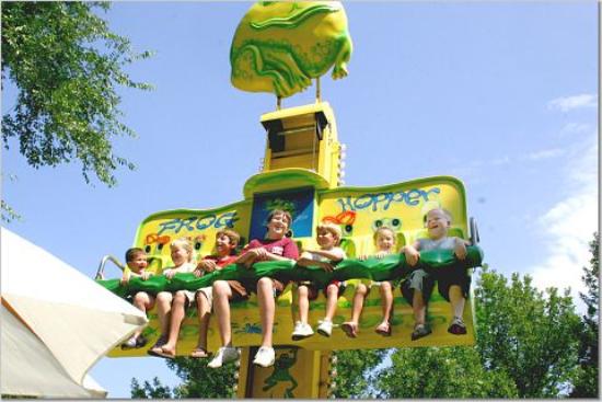 picture of amusement park frog hopper