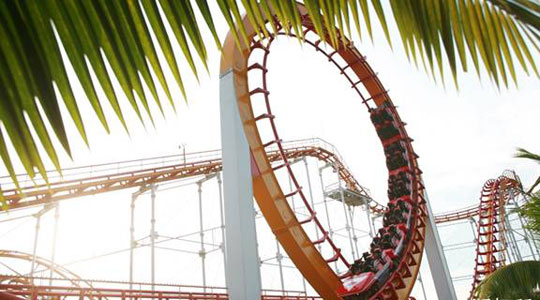 Buy Roller Coaster for park